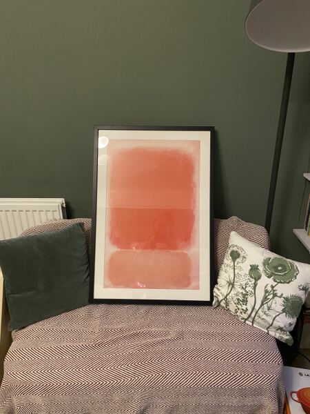 Has anyone got a dark painted living room?