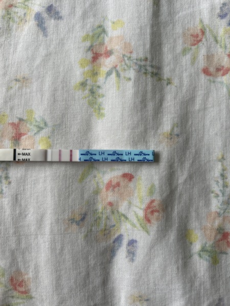Would you say this opk is positive or almost?