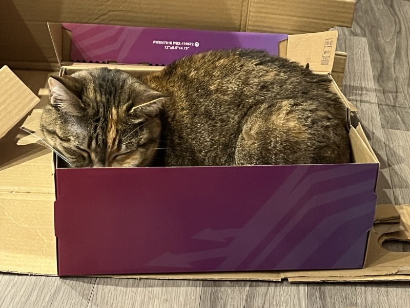 Hymns in Minor Keys & the Russian Easter Overture - the Excellent Cats ignore Culture.....