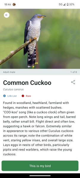 Merlin App Appreciation plus General Birding Chat