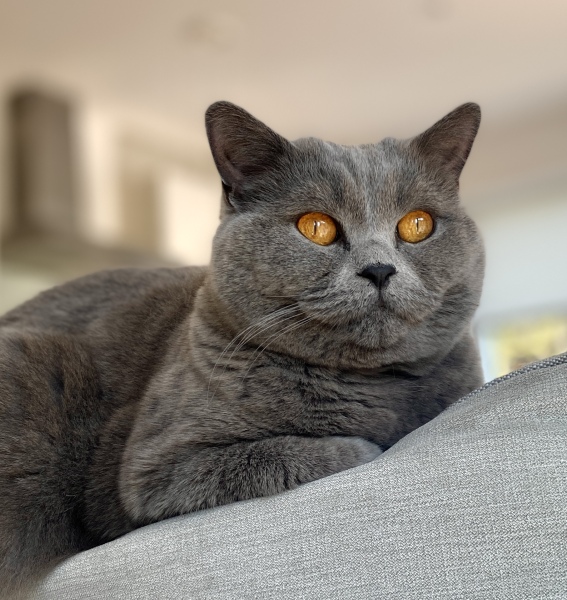 Thread 17 - TalkLair: "Okay, first of all, what's with the outfit? Live in the now, okay? You look like DeBarge."