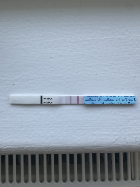 June 2025 TTC Support Thread