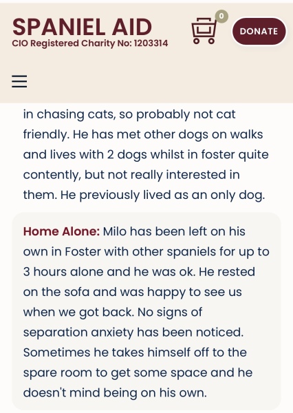 What dog do we want?