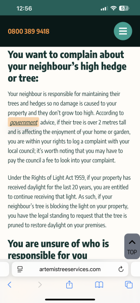 Neighbour’s tree is basically living rent-free in our garden — now she’s offered us a leaf blower 🙃