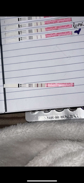 Ttc, ovulation tests