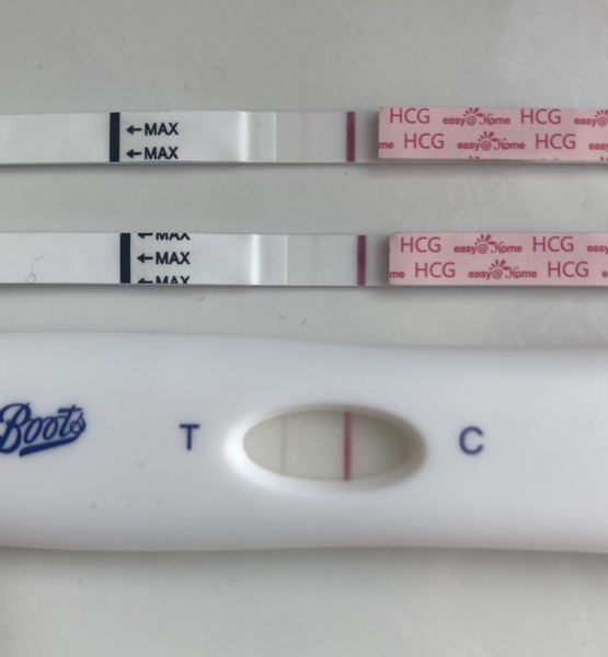 May 2025 TTC Support Thread #2!