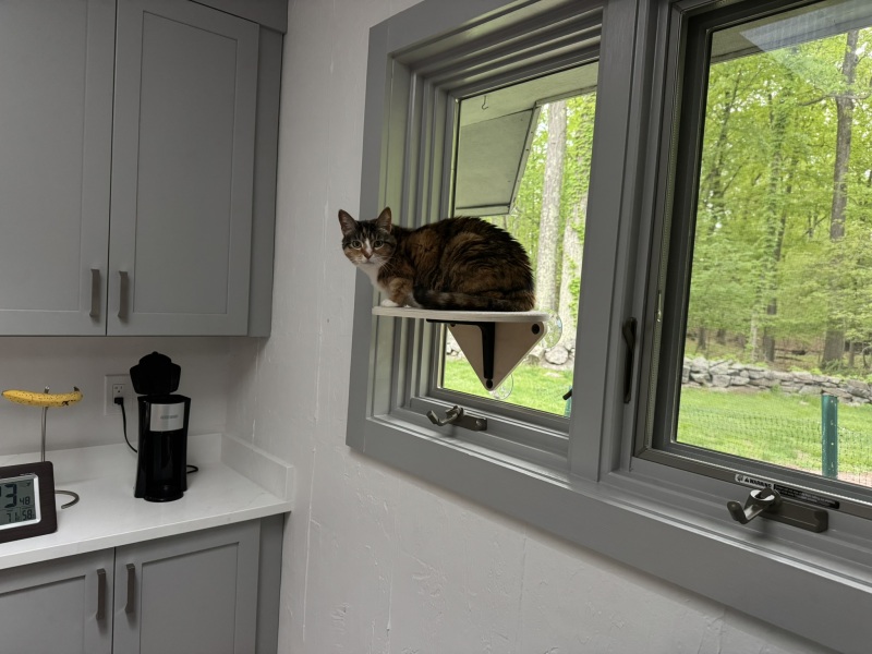 Come and tell us your dull and unexciting news 33: Calmly through the day