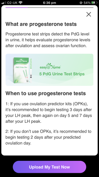 June 2025 TTC Support Thread