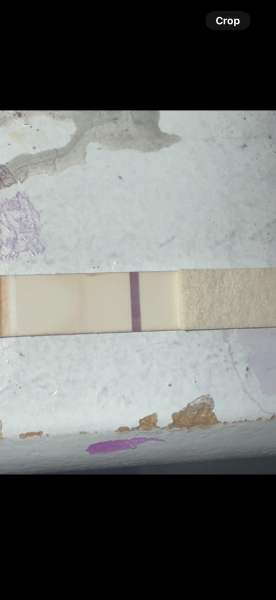 Does my faint line have colour?