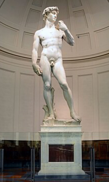 Glorifying double mastectomies  - museum exhibition