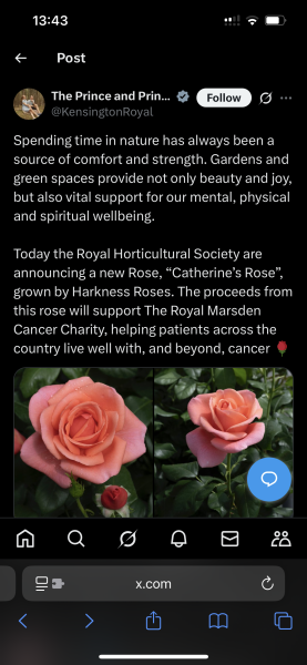 Catherine’s return to duties