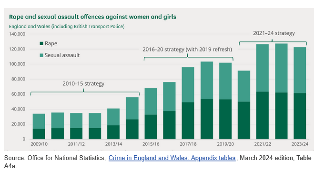 Depressing HoC Library analysis of VAWG strategy - a failure?