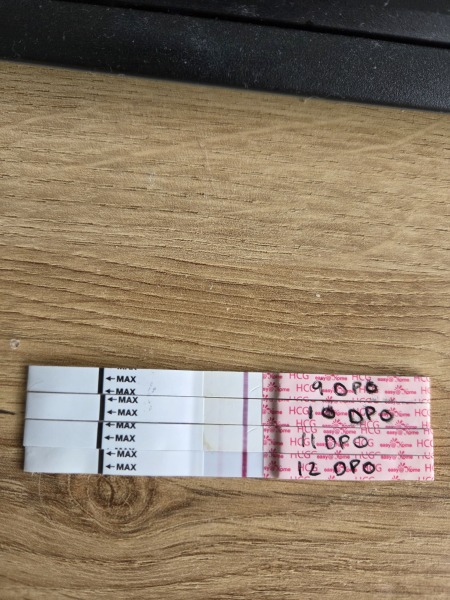 May 2025 TTC Support Group