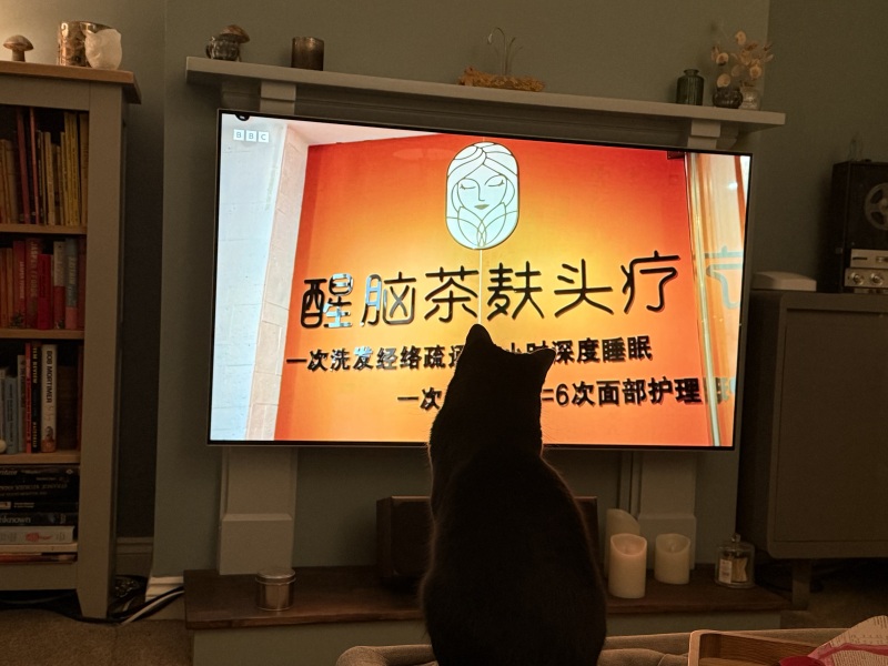 Race Across the World