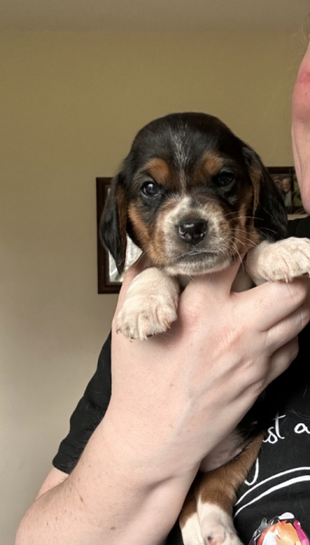 Help me name this little lady?