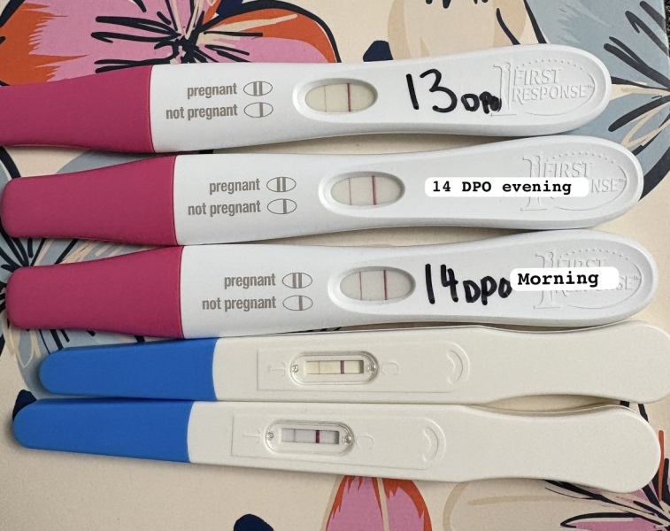 14 dpo/ 4 weeks worried about line progression