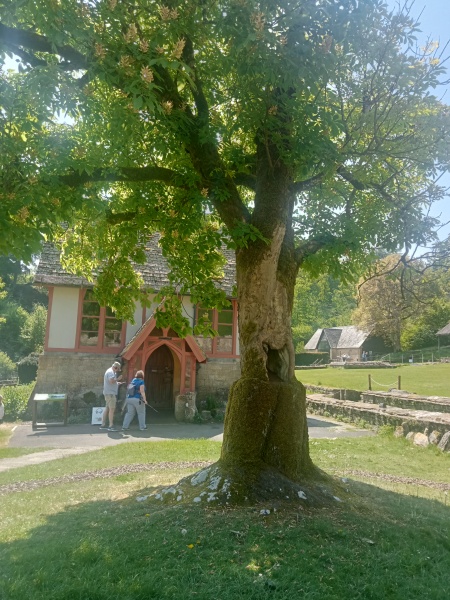 Year round Nigel Slater discussion thread Part 2