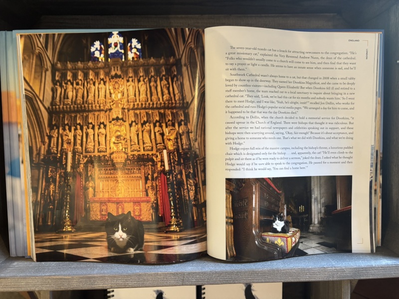 Come and tell us your dull and unexciting news 33: Calmly through the day