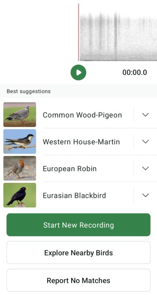 Do we have a Wildlife/Nature/Conservation topic?