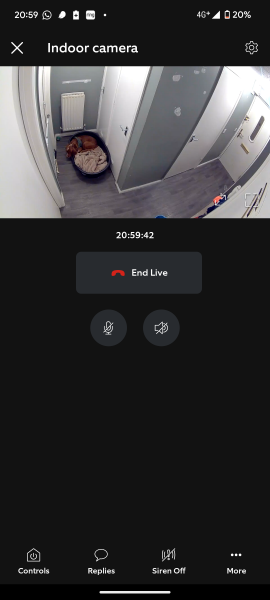 Adolescent Dog Survival Thread - for teenage dirtbags