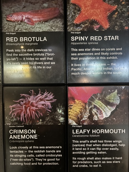 Come and tell us your dull and unexciting news 33: Calmly through the day