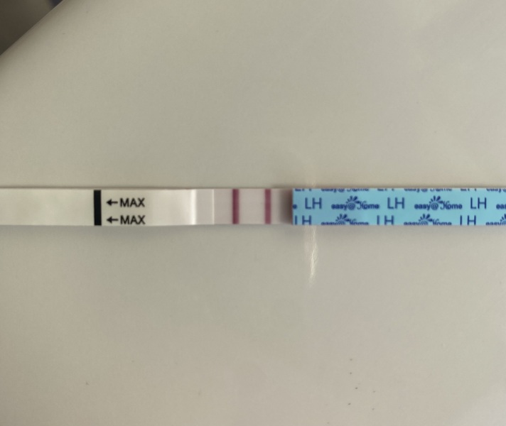 Positive ovulation test?