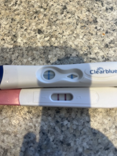 Due January 2026 ✨