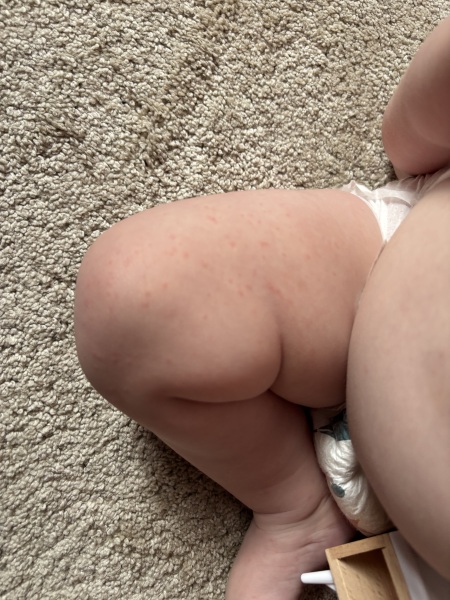 Does anyone know what this could be?