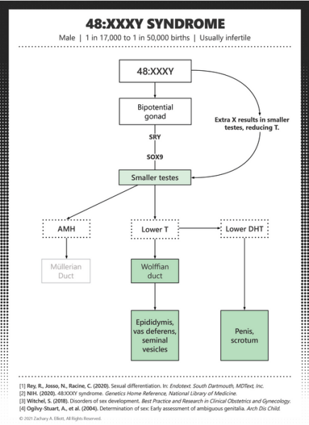Have I completely misunderstood GCSE biology...