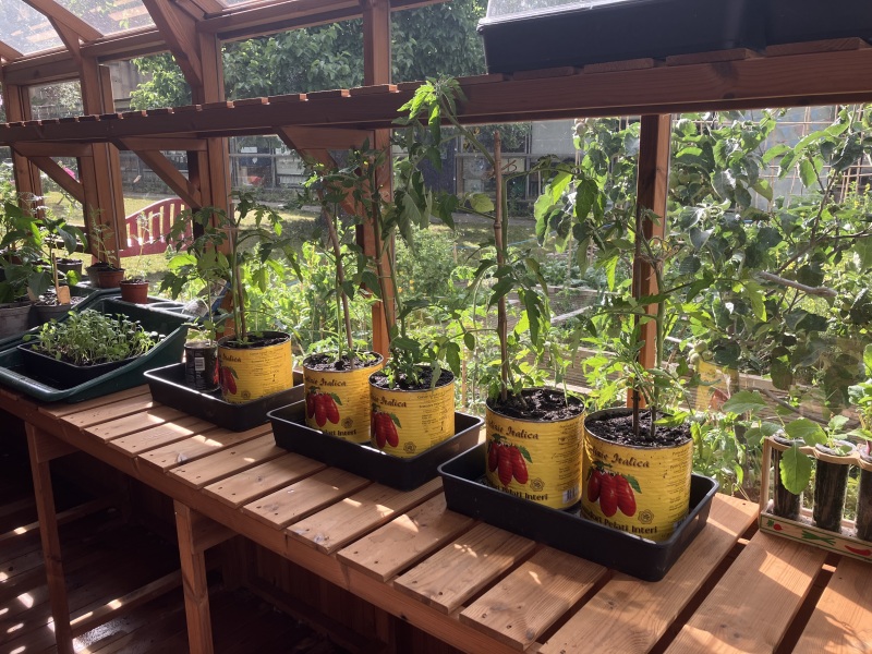 What have you done in the garden today? Part 7