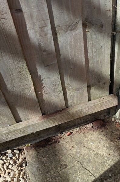 To want to knock nails back through to neighbour's garden