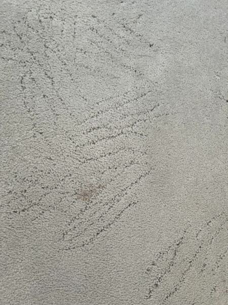 Fixing Carpet Scratches