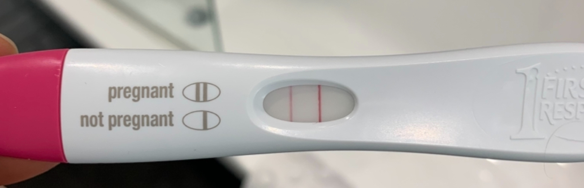 Due January 2026 ✨