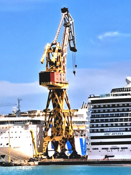 Hypothetical question about giraffes