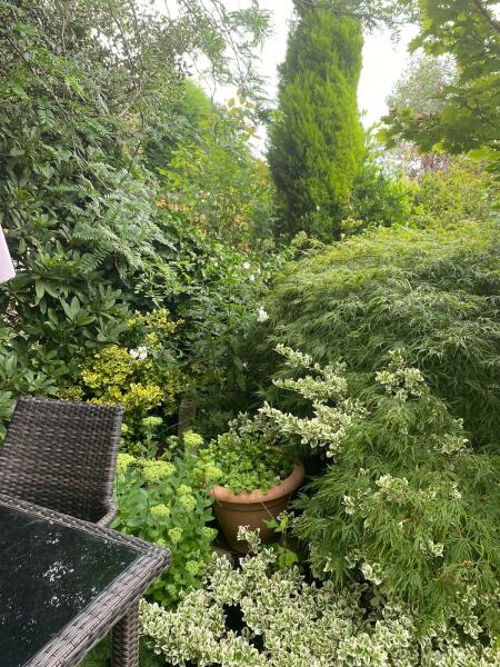 I sort of know IABU, but would this bother you? Neighbours always in the garden.