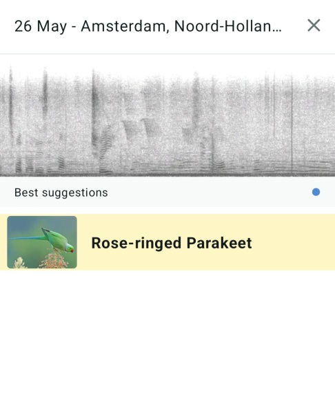 Do we have a Wildlife/Nature/Conservation topic?