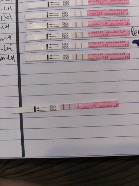 Ttc, ovulation tests