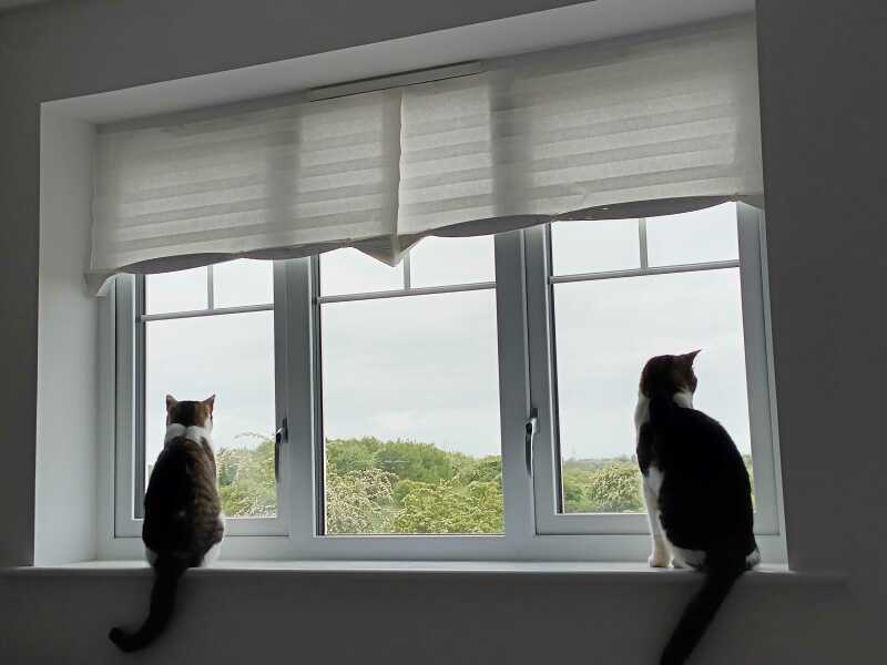 The all new buyers/sellers waiting room (8) lies lies and the stamp duty deadline