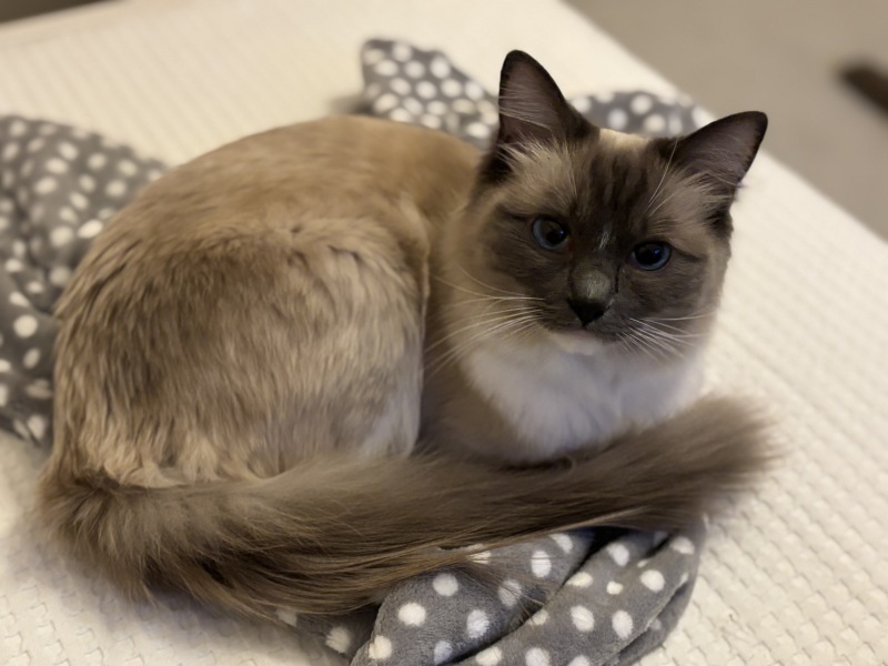New cat - how concerned should I be?