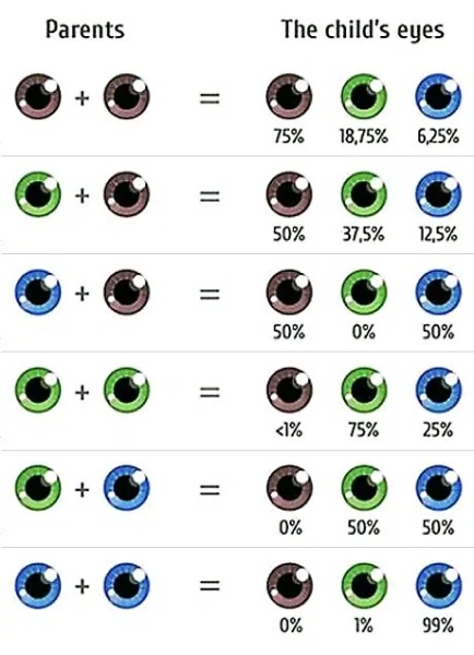 What colour will my baby’s eyes be?