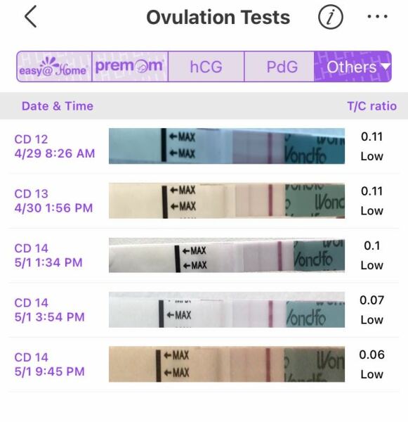 35yrs + and trying ✨🫶🏼