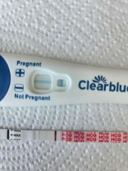 May 2025 TTC Support Thread #2!