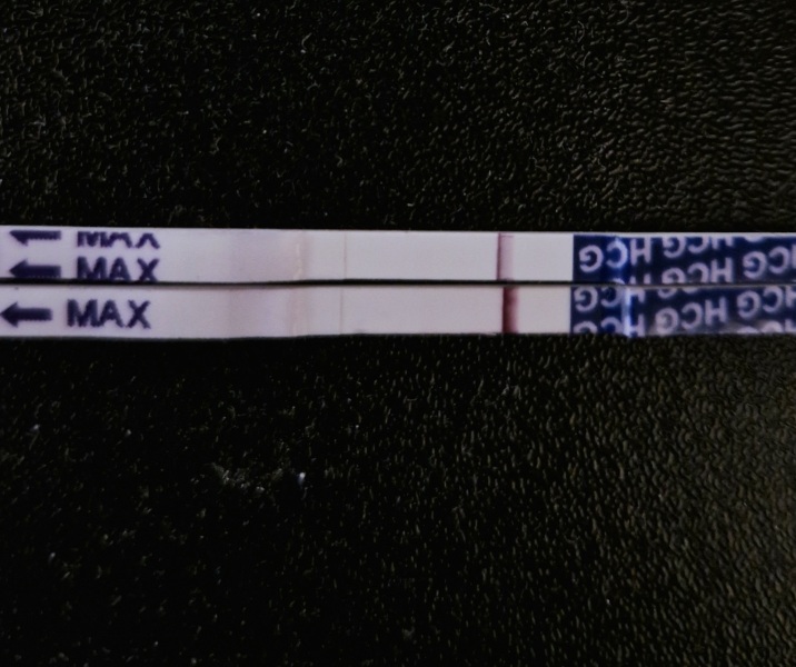 May 2025 TTC Support Thread #2!