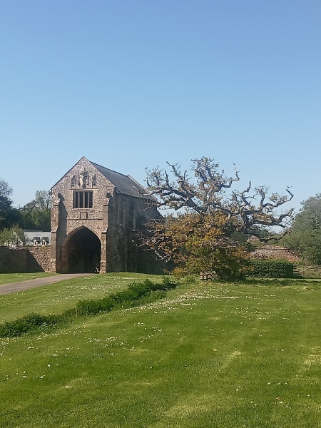 The Year Round Nigel Slater Discussion thread