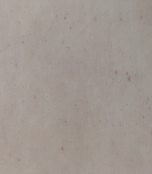 Should I push the consultant more or am I going crazy?