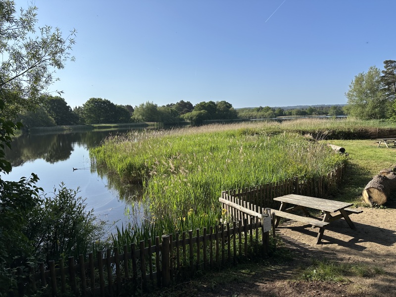 Do we have a Wildlife/Nature/Conservation topic?