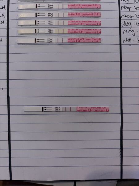 Ttc, ovulation tests