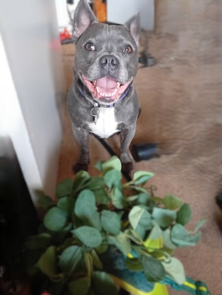 The support thread for anyone trying to live an alcohol free life. Spring 2025.