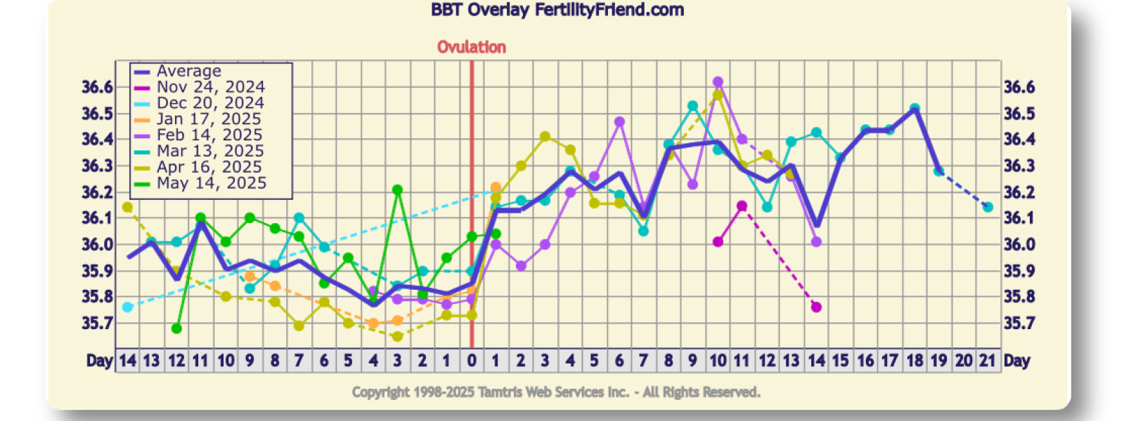 June 2025 TTC Support Thread