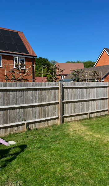 Garden eyesore.. photo attached (when it uploads)